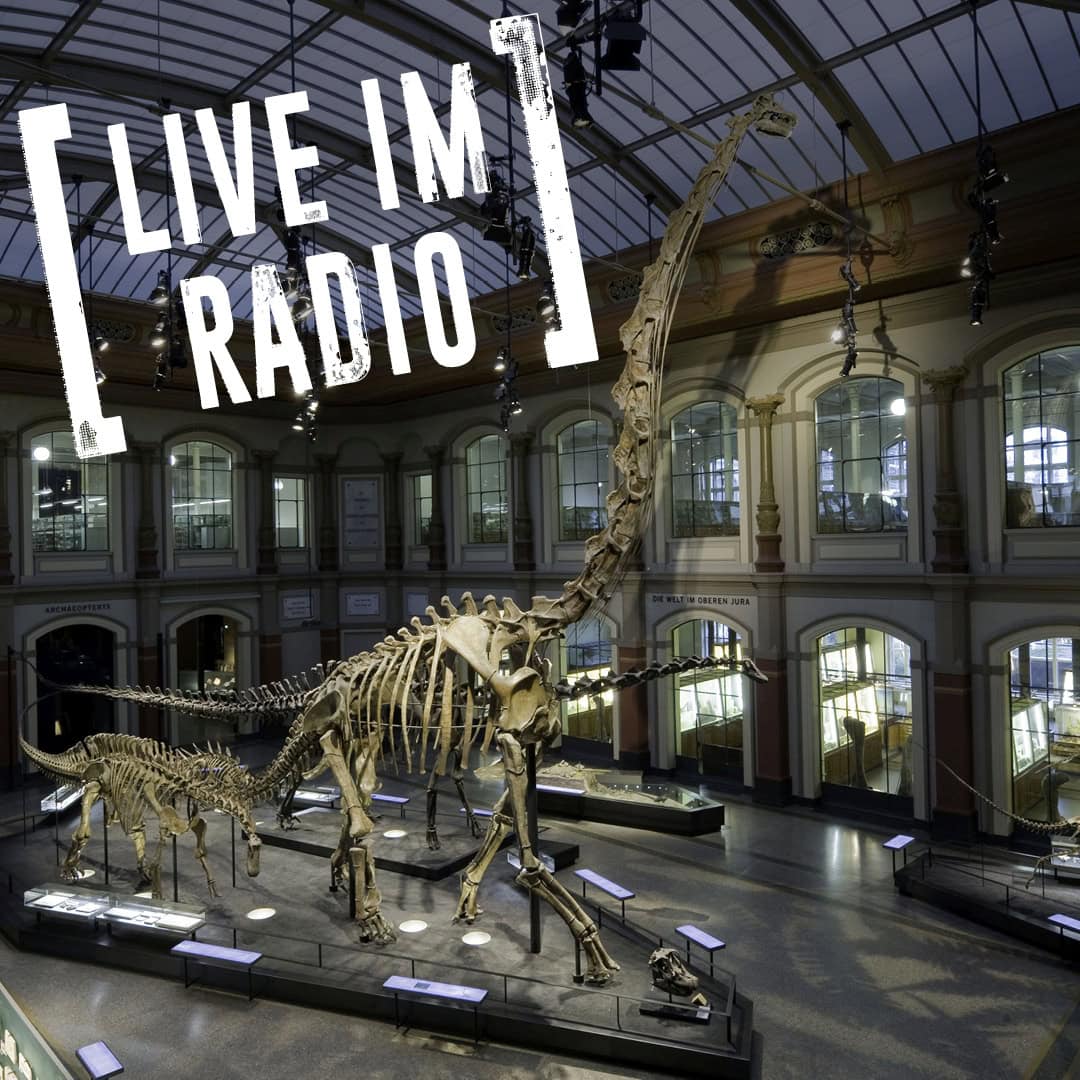 LHLK – Krisenkommunikation, Corona; Award; Krise